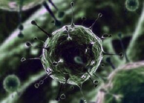 Bacterial microorganisms as the cause of prostatitis
